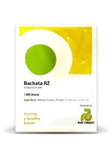 BACHATA RZ F1 (35-209)